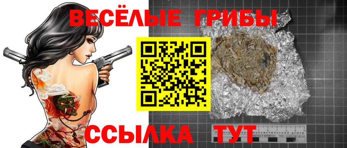Галлюциногенные грибы MAGIC MUSHROOMS  Вход с VPN  Пятигорск  Псилоцибиновые грибы Psilocybe 