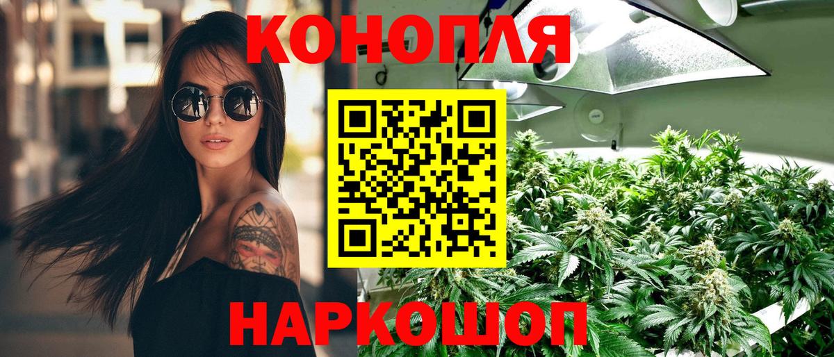 Каннабис планчик Пятигорск
